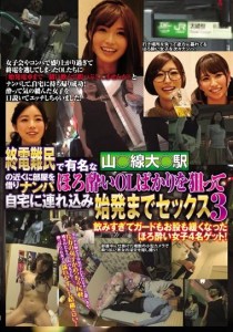 水野朝阳
琴沖華凛
秋月ひな
