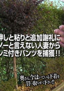中園貴代美